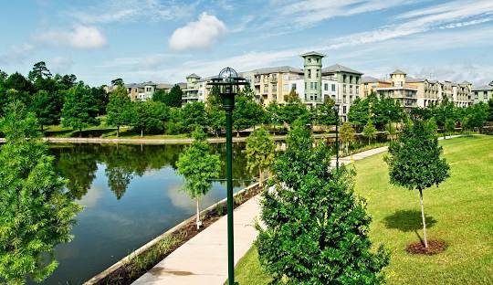 the woodlands, download