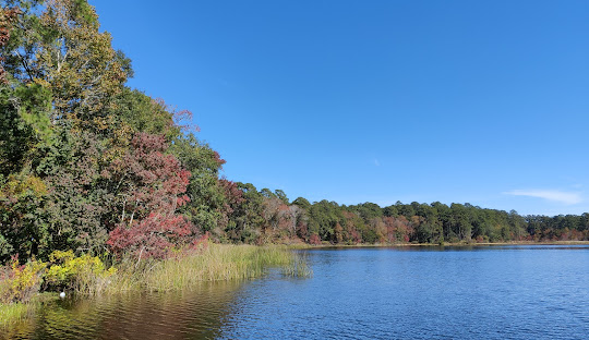 huntsville, unnamed